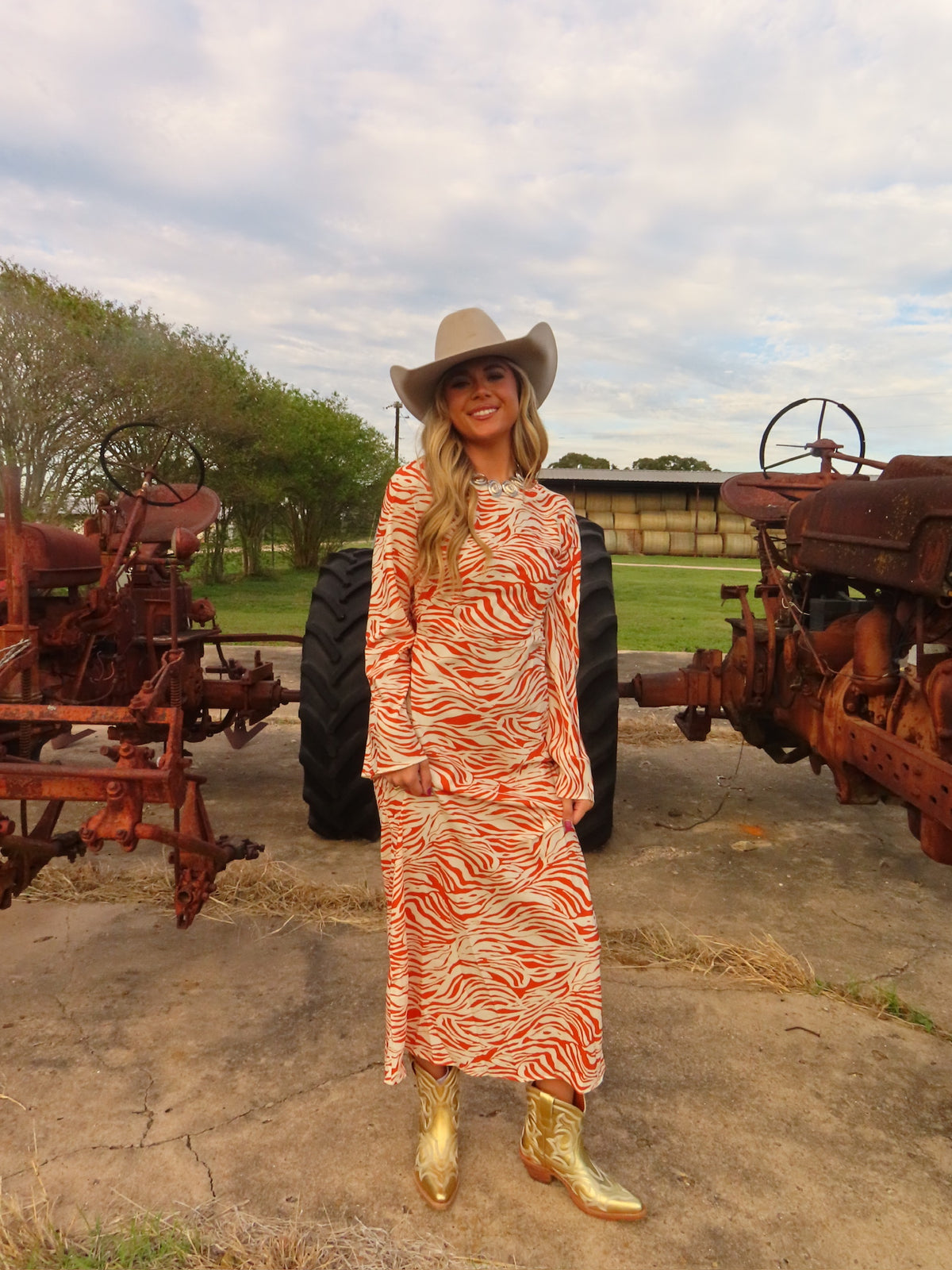 The Main Attraction Dress