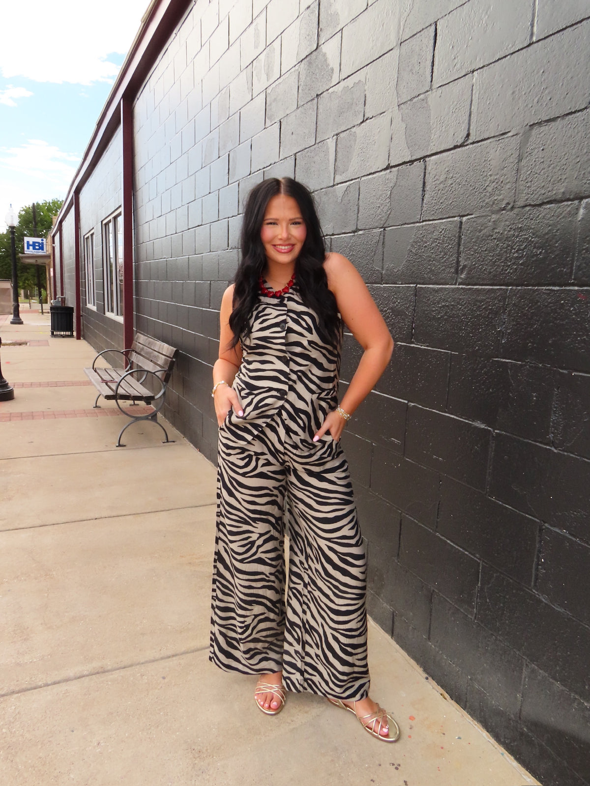 The Zebra Sideline Vest
