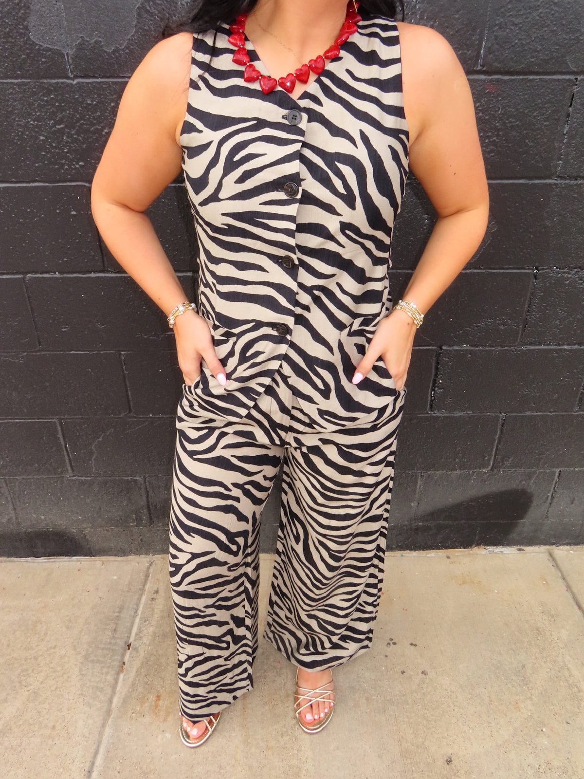 The Zebra Sideline Vest
