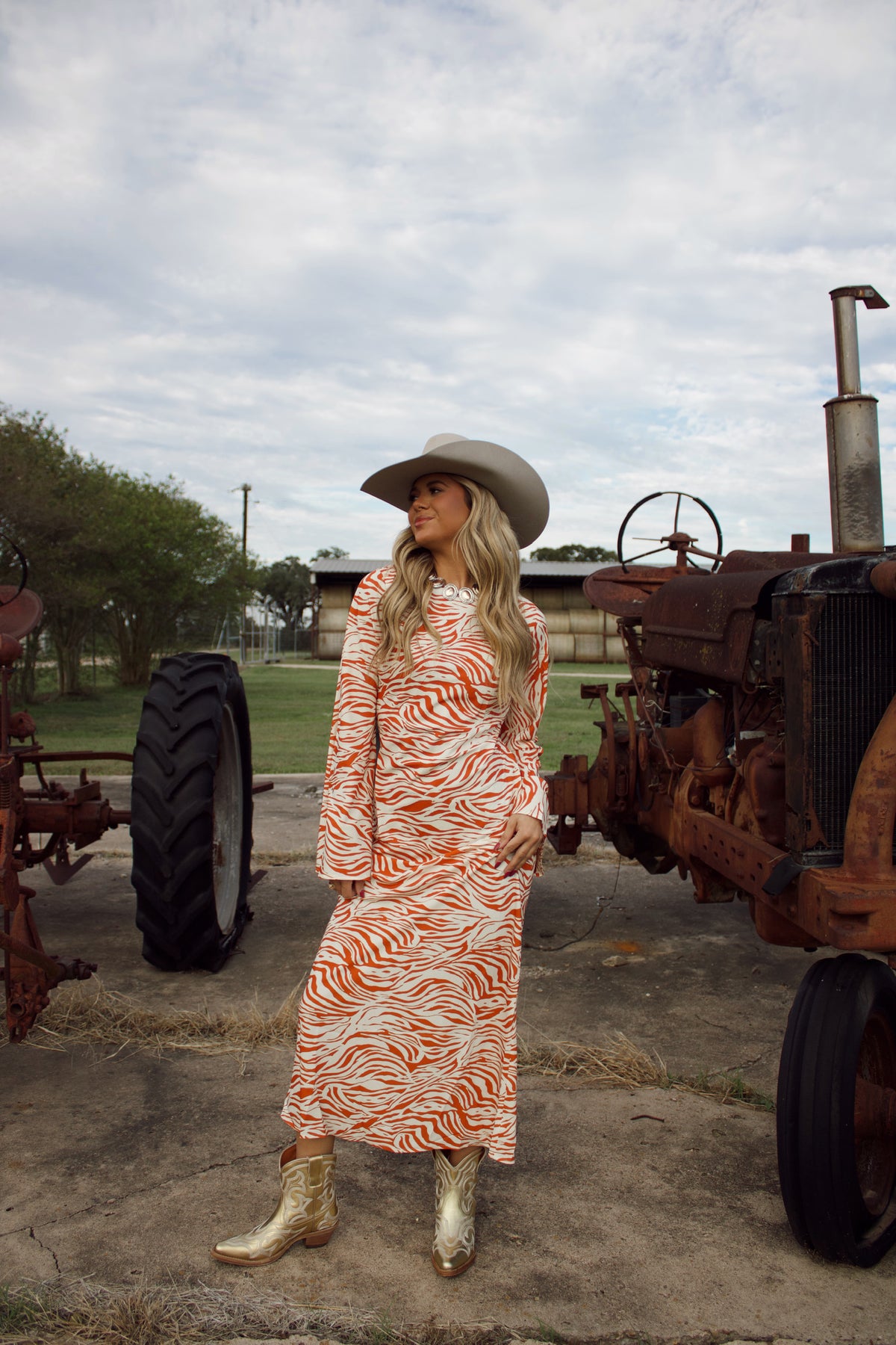 The Main Attraction Dress