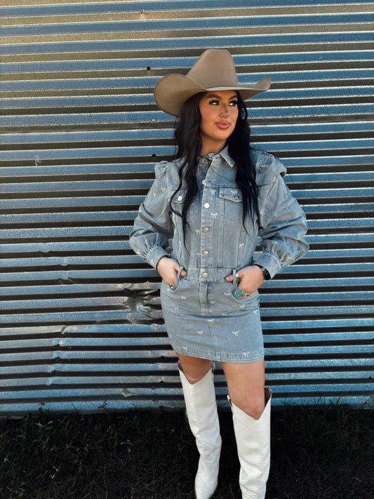 The Denim Bow Dress in Light Wash