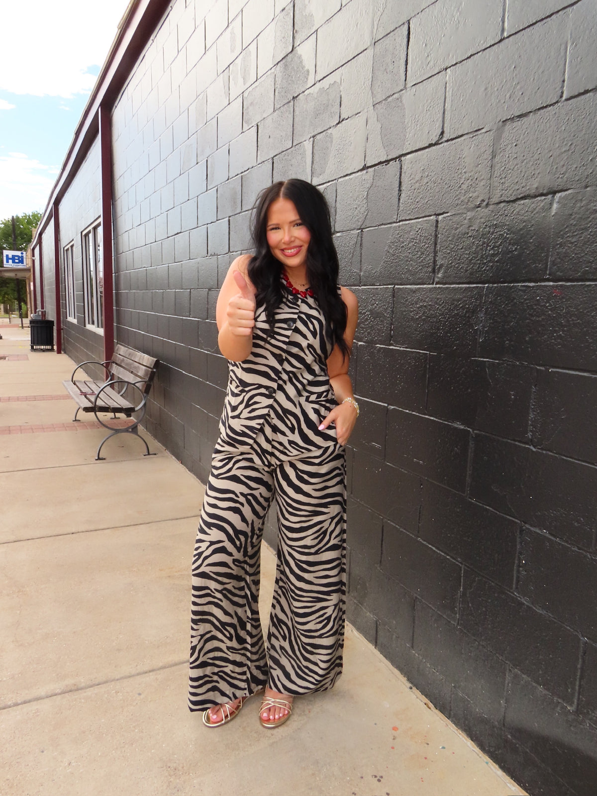 The Zebra Sideline Vest